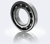 bearing manufacturer